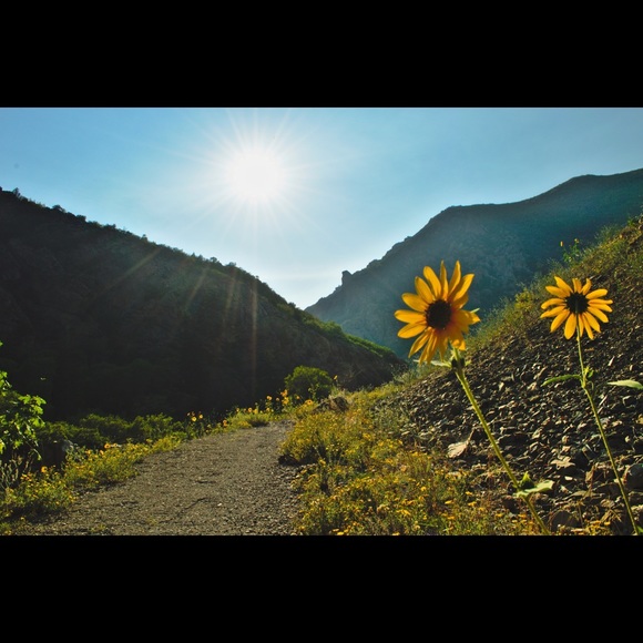 8” x 10” Print of Big Cottonwood Canyon in Utah - Picture 2 of 2